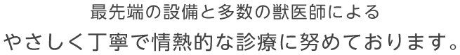 最先端の設備と多数の獣医師による やさしく丁寧で情熱的な診療に努めております。