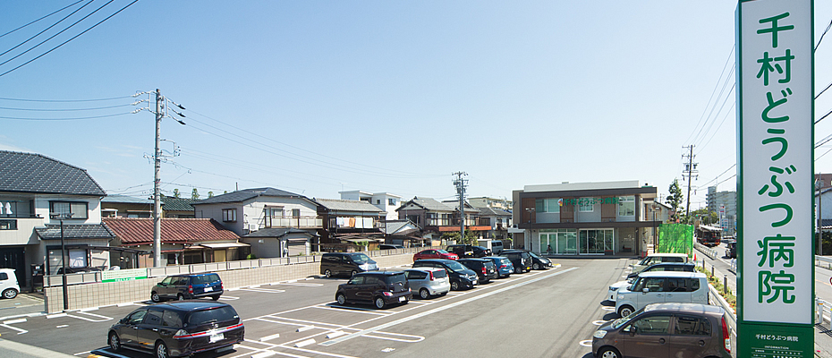 千村どうぶつ病院